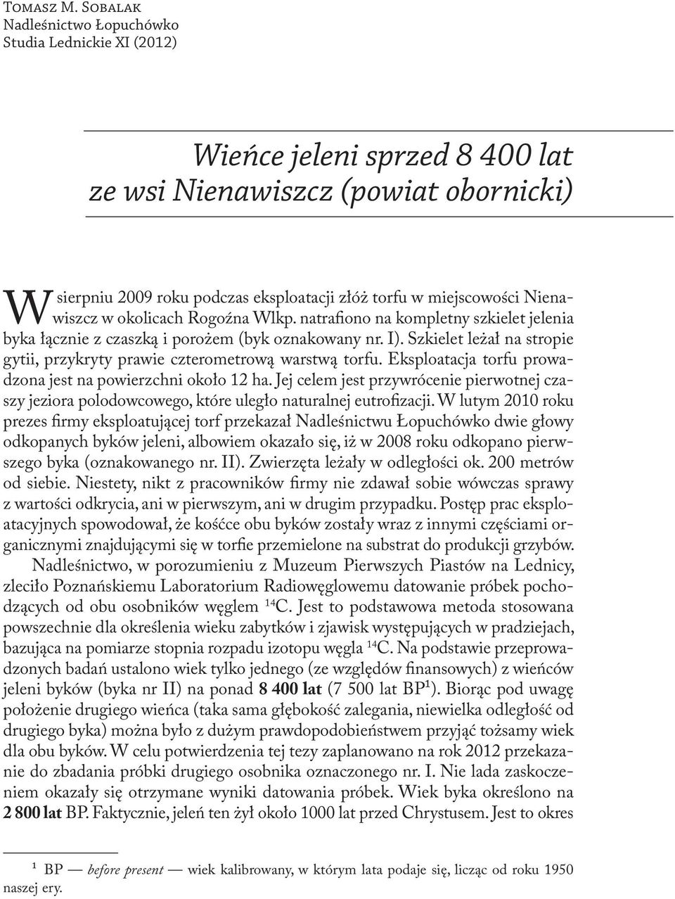 Wlkp. natrafiono na kompletny szkielet jelenia byka łącznie z czaszką i porożem (byk oznakowany nr. I). Szkielet leżał na stropie gytii, przykryty prawie czterometrową warstwą torfu.