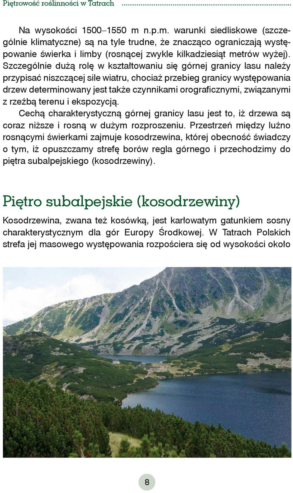 związanymi z rzeźbą terenu i ekspozycją. Cechą charakterystyczną górnej granicy lasu jest to, iż drzewa są coraz niższe i rosną w dużym rozproszeniu.