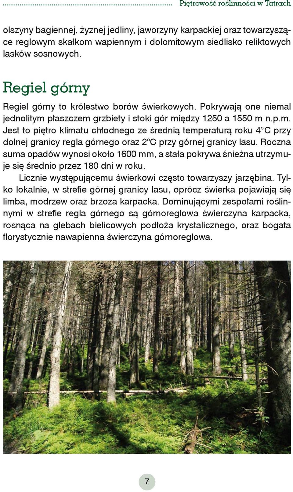 l jednolitym płaszczem grzbiety i stoki gór między 1250 a 1550 m n.p.m. Jest to piętro klimatu chłodnego ze średnią temperaturą roku 4 C przy dolnej granicy regla górnego oraz 2 C przy górnej granicy lasu.