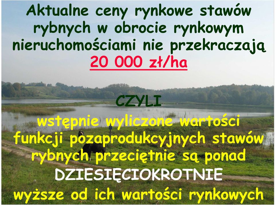 wyliczone wartości funkcji pozaprodukcyjnych stawów rybnych