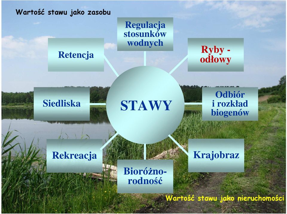 Odbiór i rozkład biogenów Rekreacja BioróŜnorodność