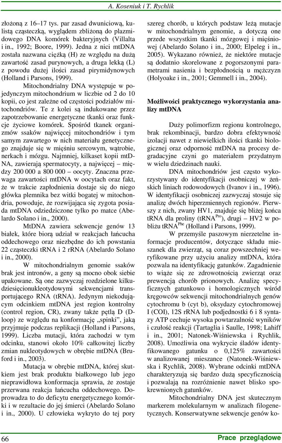 Mitochondrialny DNA występuje w pojedynczym mitochondrium w liczbie od 2 do 10 kopii, co jest zależne od częstości podziałów mitochondriów.