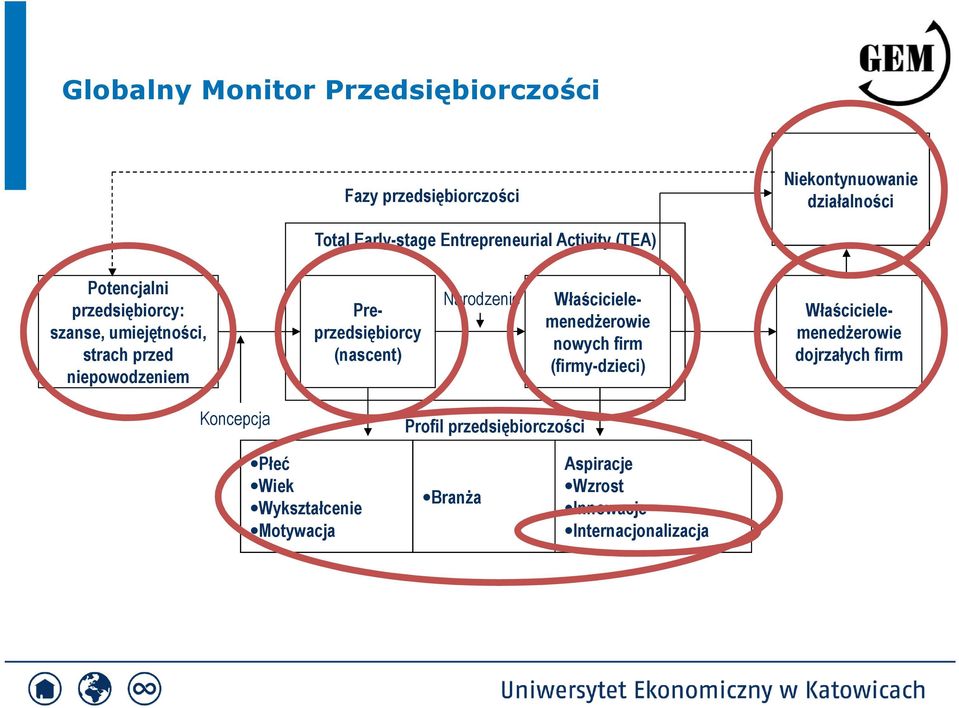 Preprzedsiębiorcy (nascent) Narodzenie Właścicielemenedżerowie nowych firm (firmy-dzieci) Właścicielemenedżerowie