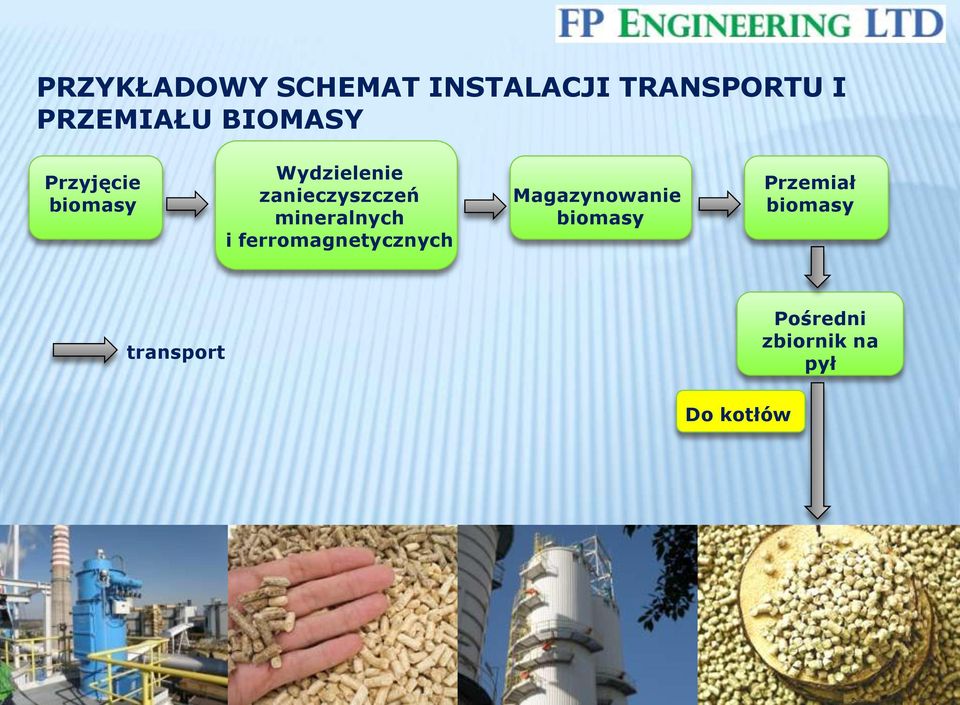 mineralnych i ferromagnetycznych Magazynowanie biomasy