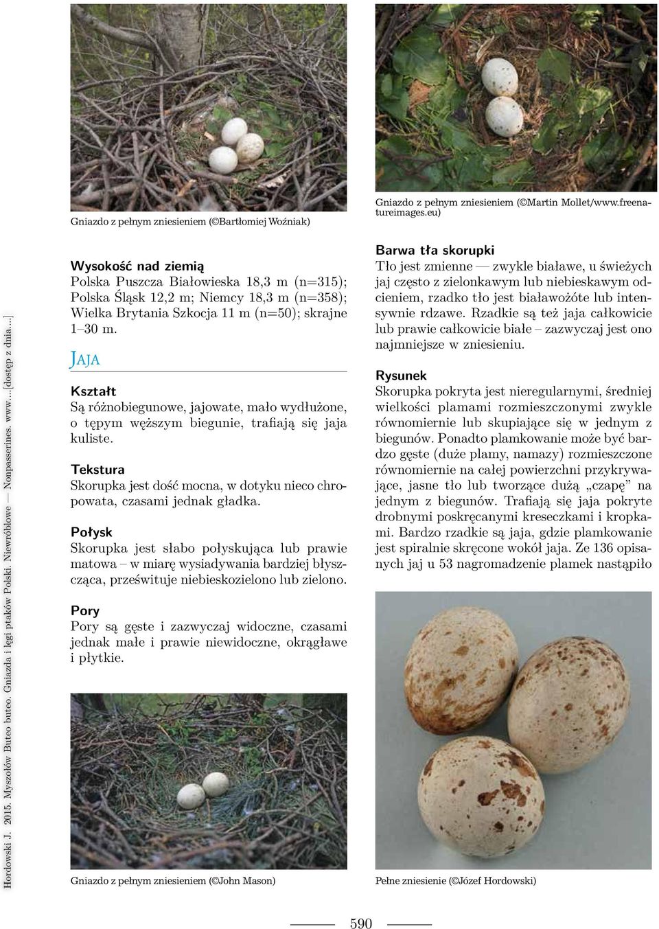 Jaja Kształt Są różnobiegunowe, jajowate, mało wydłużone, o tępym węższym bie gu nie, trafiają się jaja kuliste.