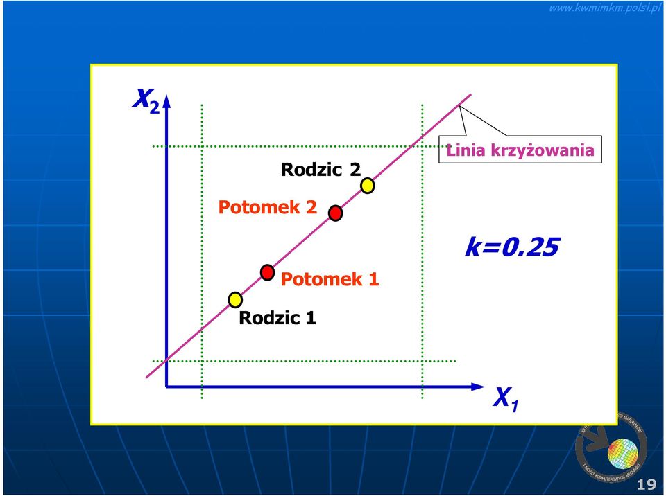 Linia krzyŝowania