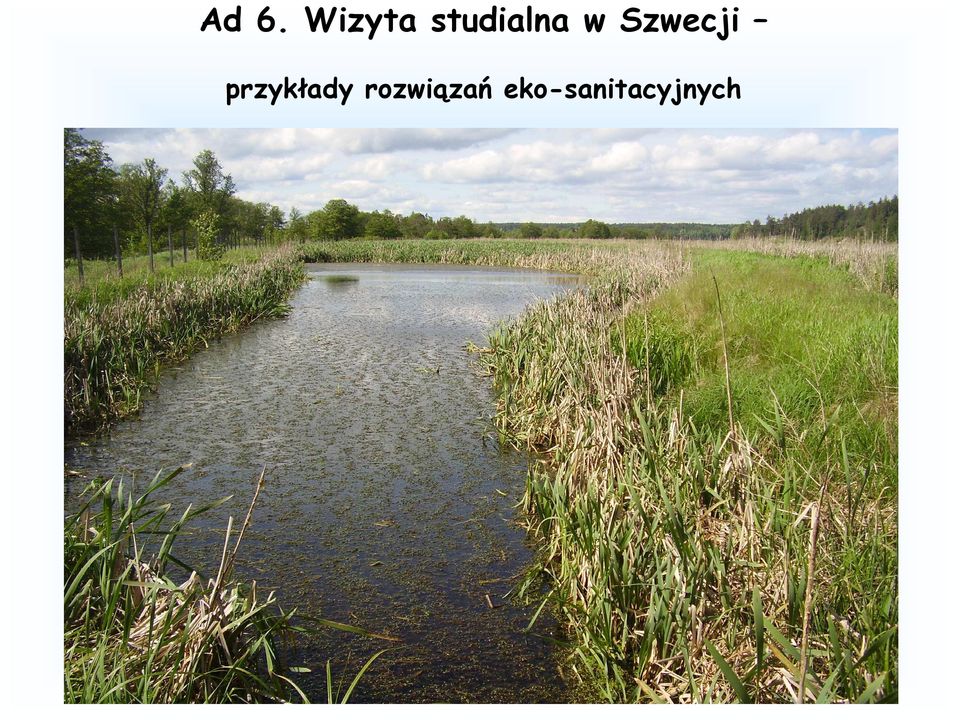 Szwecji przykłady