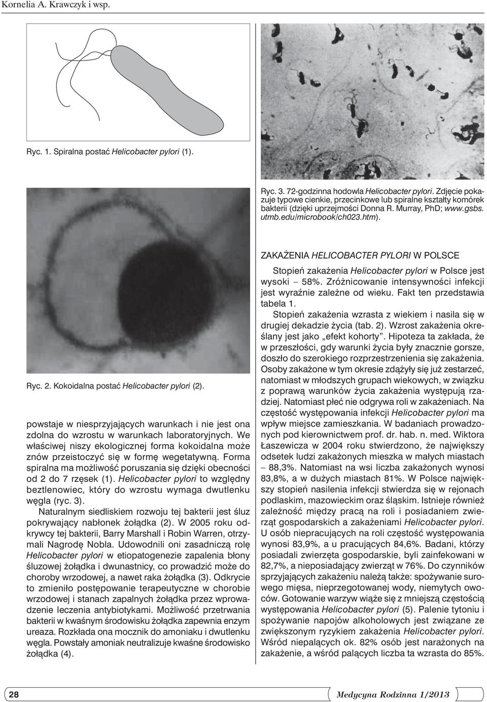 Kokoidalna postać Helicobacter pylori (2). powstaje w niesprzyjających warunkach i nie jest ona zdolna do wzrostu w warunkach laboratoryjnych.