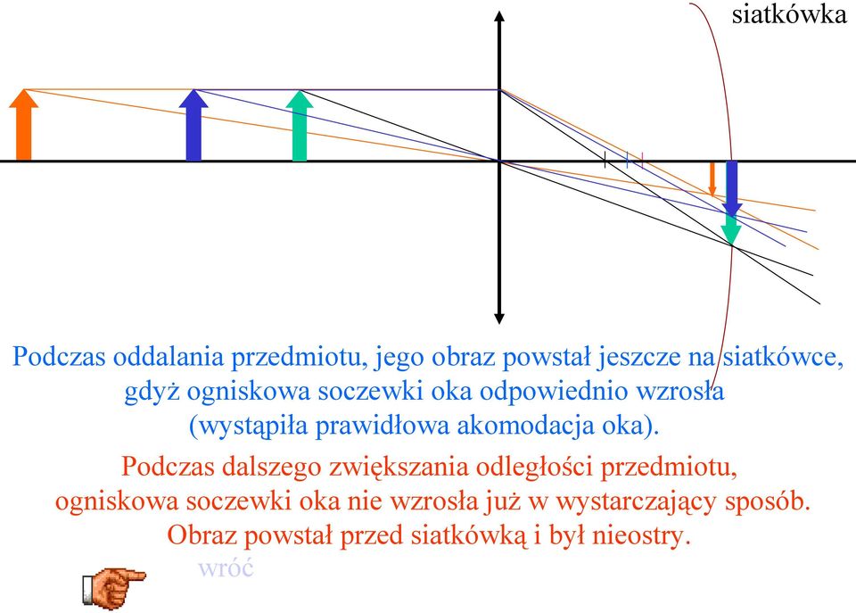 oka). Podczas dalszego zwiększania odległości przedmiotu, ogniskowa soczewki oka