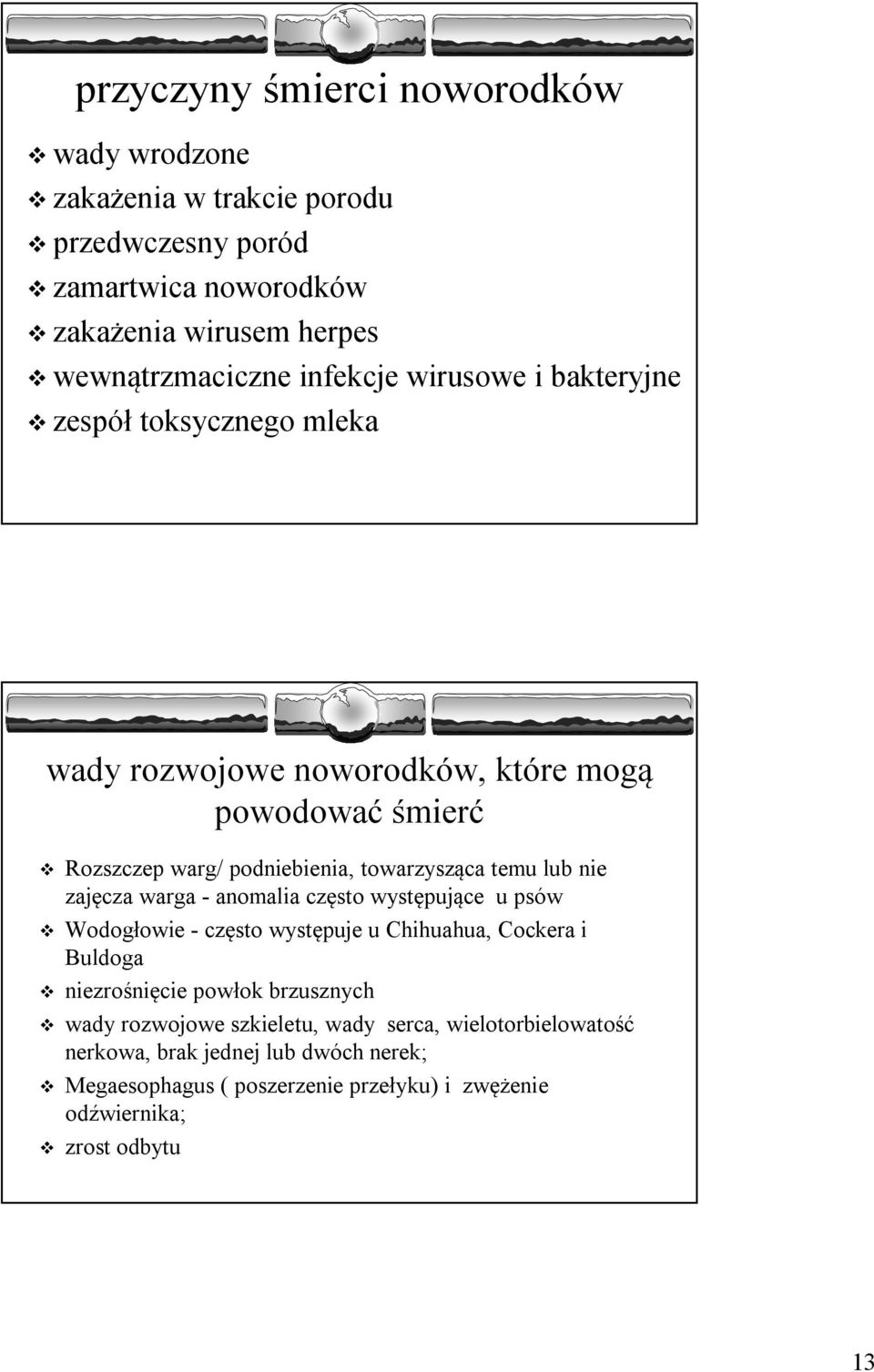 lub nie zajęcza warga - anomalia często występujące u psów Wodogłowie - często występuje u Chihuahua, Cockera i Buldoga niezrośnięcie powłok brzusznych wady