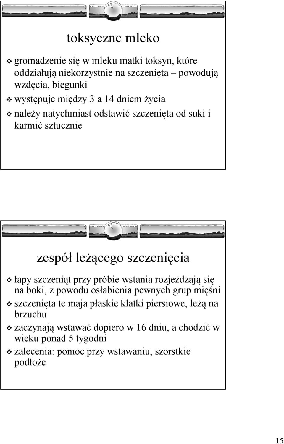 przy próbie wstania rozjeżdżają się na boki, z powodu osłabienia pewnych grup mięśni szczenięta te maja płaskie klatki piersiowe, leżą