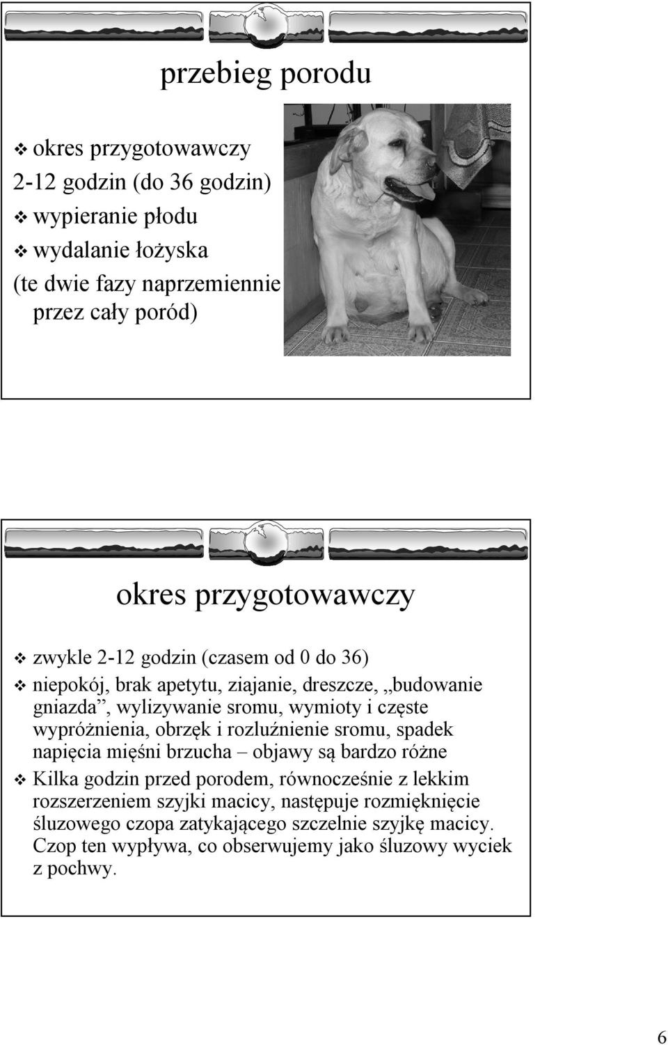 wypróżnienia, obrzęk i rozluźnienie sromu, spadek napięcia mięśni brzucha objawy są bardzo różne Kilka godzin przed porodem, równocześnie z lekkim