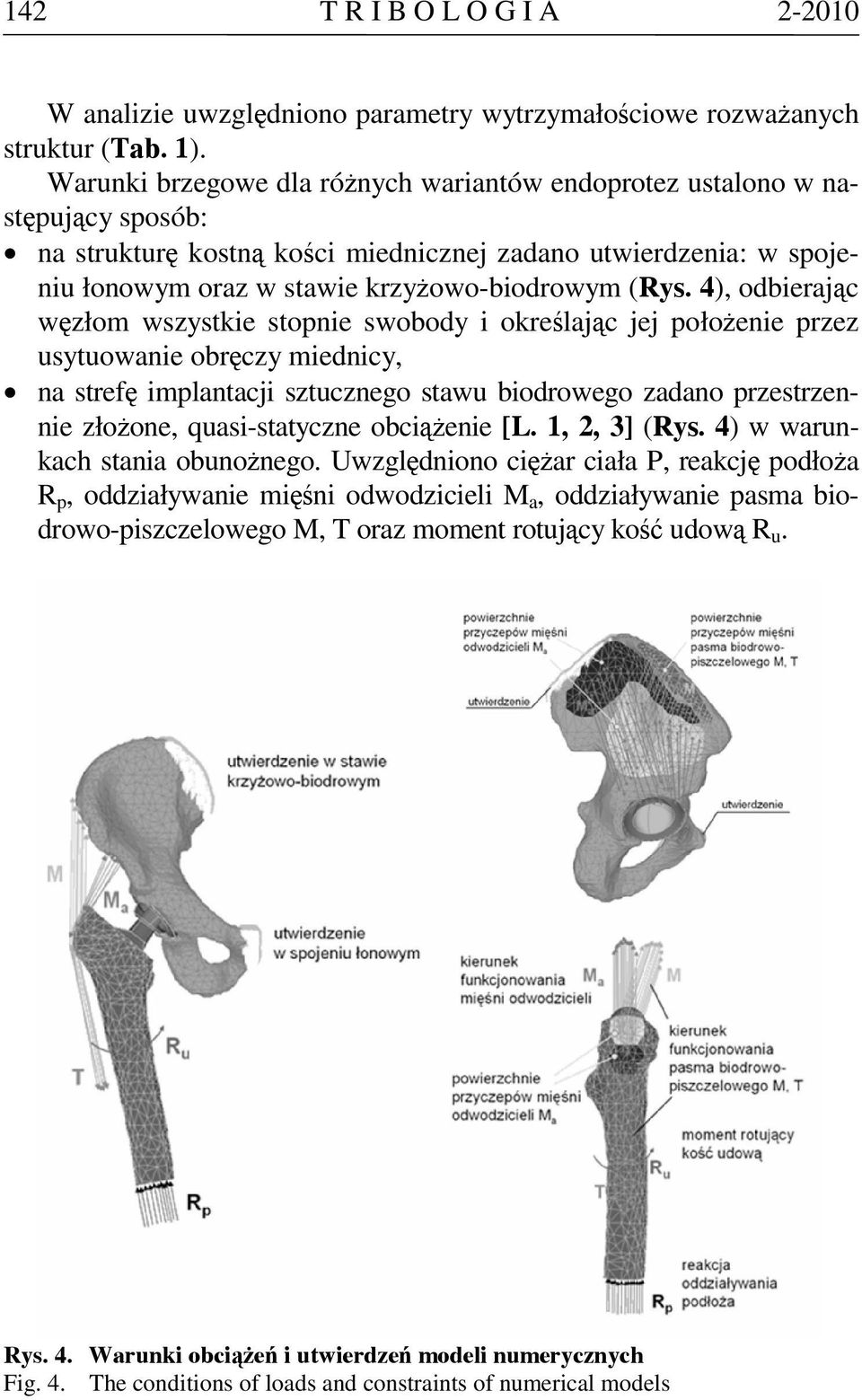 4), odbierając węzłom wszystkie stopnie swobody i określając jej położenie przez usytuowanie obręczy miednicy, na strefę implantacji sztucznego stawu biodrowego zadano przestrzennie złożone,