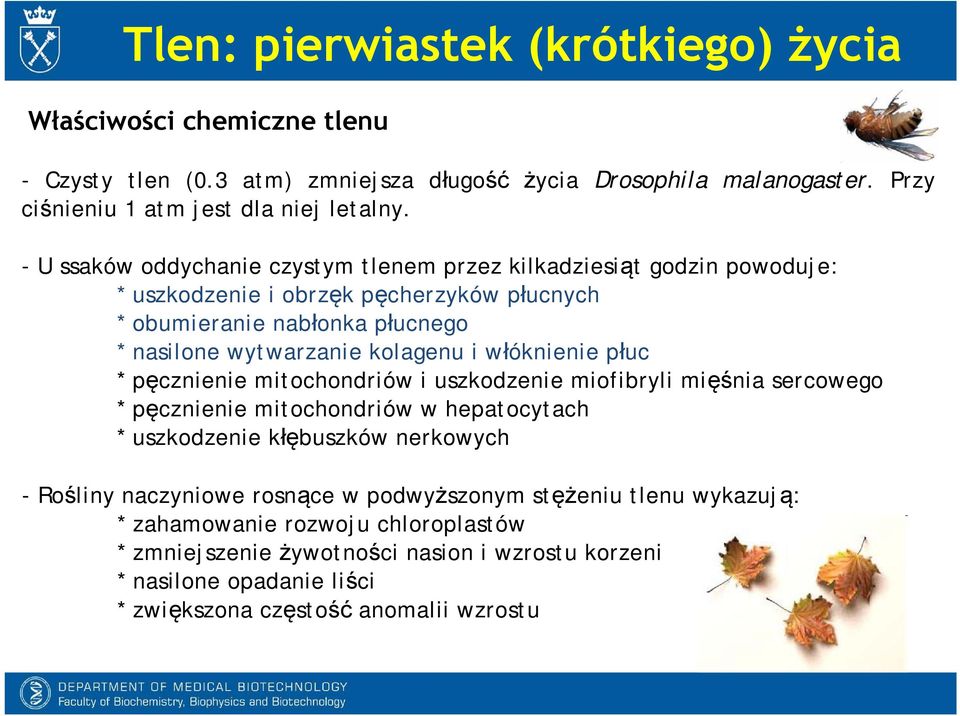 włóknienie płuc * pęcznienie mitochondriów i uszkodzenie miofibryli mięśnia sercowego * pęcznienie mitochondriów w hepatocytach * uszkodzenie kłębuszków nerkowych -Rośliny naczyniowe