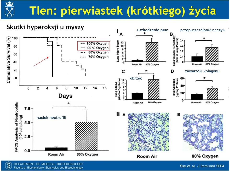 przepuszczalność naczyń obrzęk zawartość