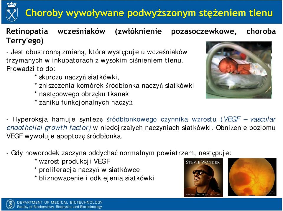 Prowadzi to do: * skurczu naczyń siatkówki, * zniszczenia komórek śródbłonka naczyń siatkówki *następowego obrzęku tkanek * zaniku funkcjonalnych naczyń - Hyperoksja hamuje syntezę