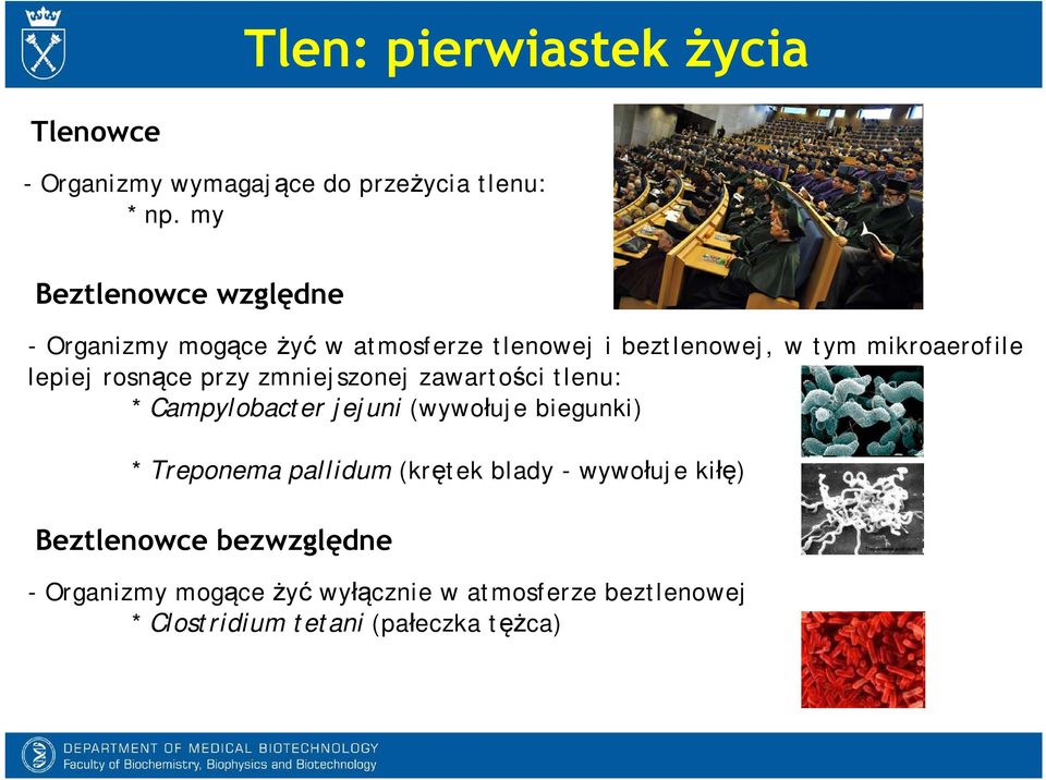 rosnące przy zmniejszonej zawartości tlenu: * Campylobacter jejuni (wywołuje biegunki) * Treponema pallidum