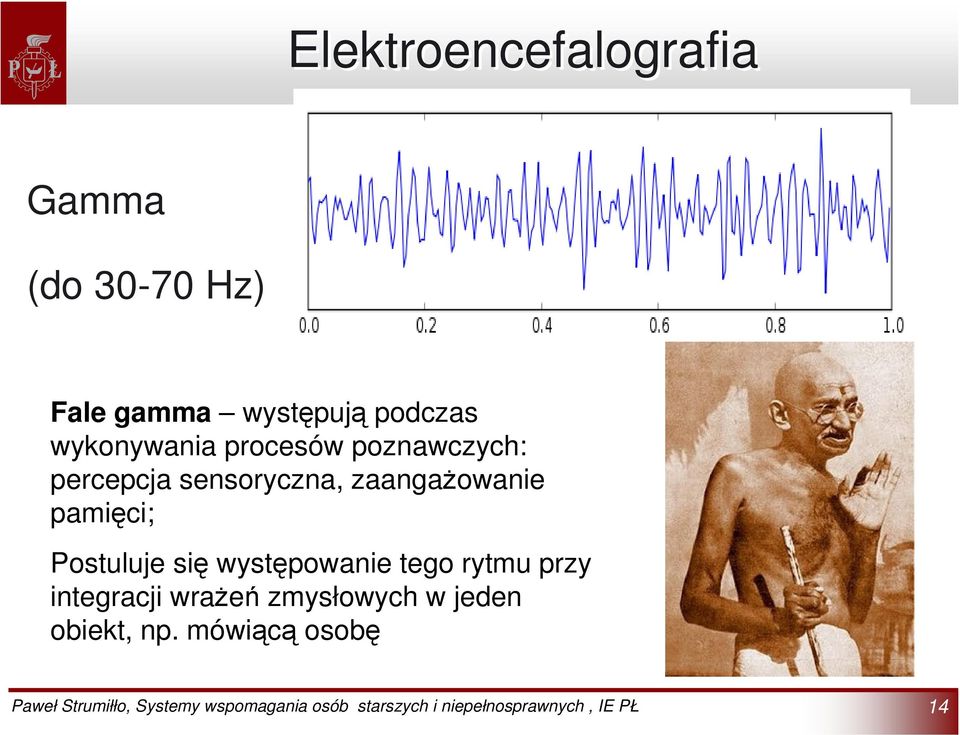 zaangażowanie pamięci; Postuluje się występowanie tego rytmu