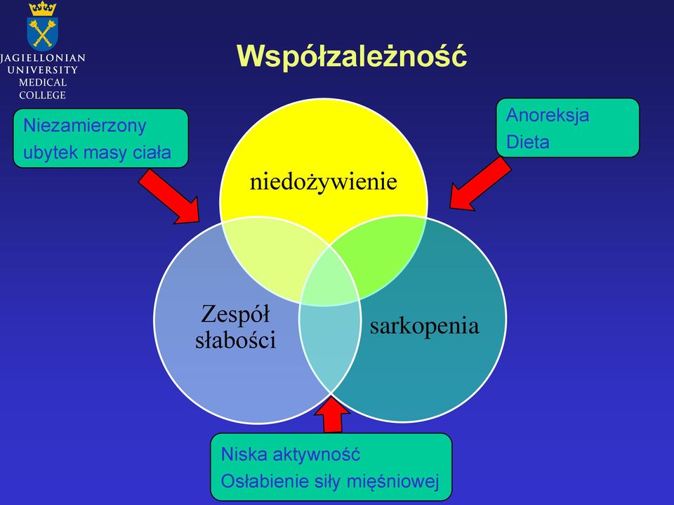 Anoreksja Dieta Zespół słabości