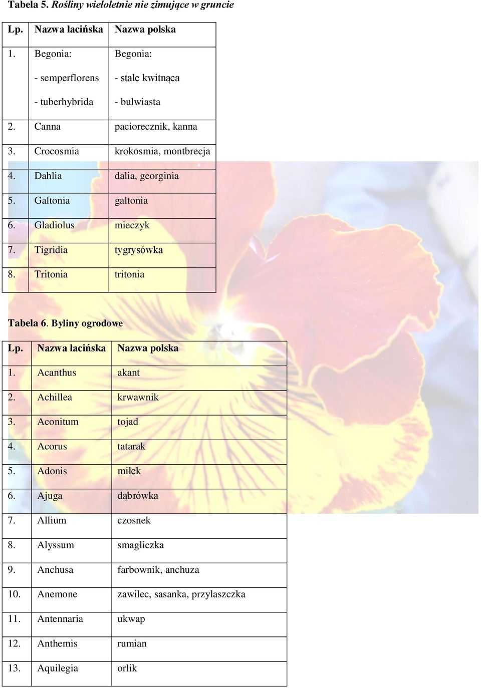 Tritonia tritonia Tabela 6. Byliny ogrodowe 1. Acanthus akant 2. Achillea krwawnik 3. Aconitum tojad 4. Acorus tatarak 5. Adonis miłek 6. Ajuga dąbrówka 7.