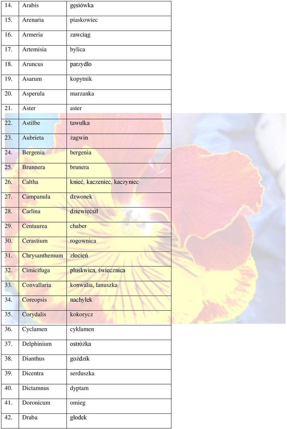 Centaurea chaber 30. Cerastium rogownica 31. Chrysanthemum złocień 32. Cimicifuga pluskwica, świecznica 33. Convallaria konwalia, lanuszka 34. Coreopsis nachyłek 35.