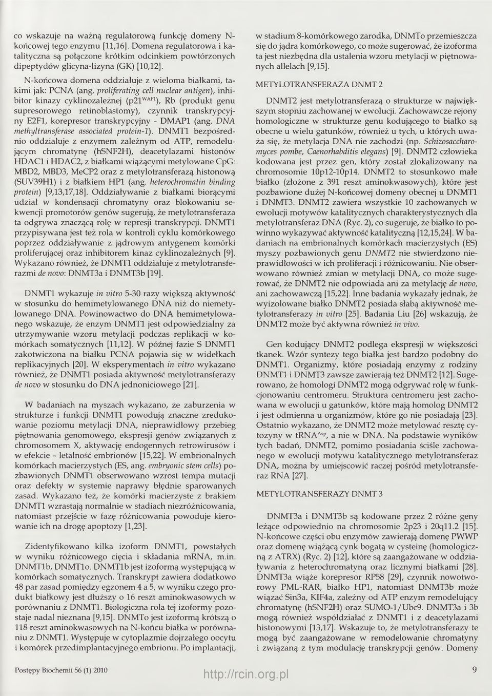 proliferating cell nuclear antigen), inhibitor kinazy cyklinozależnej (p21waf1), Rb (produkt genu supresorowego retinoblastomy), czynnik transkrypcyjny E2F1, korepresor transkrypcyjny - DMAP1 (ang.