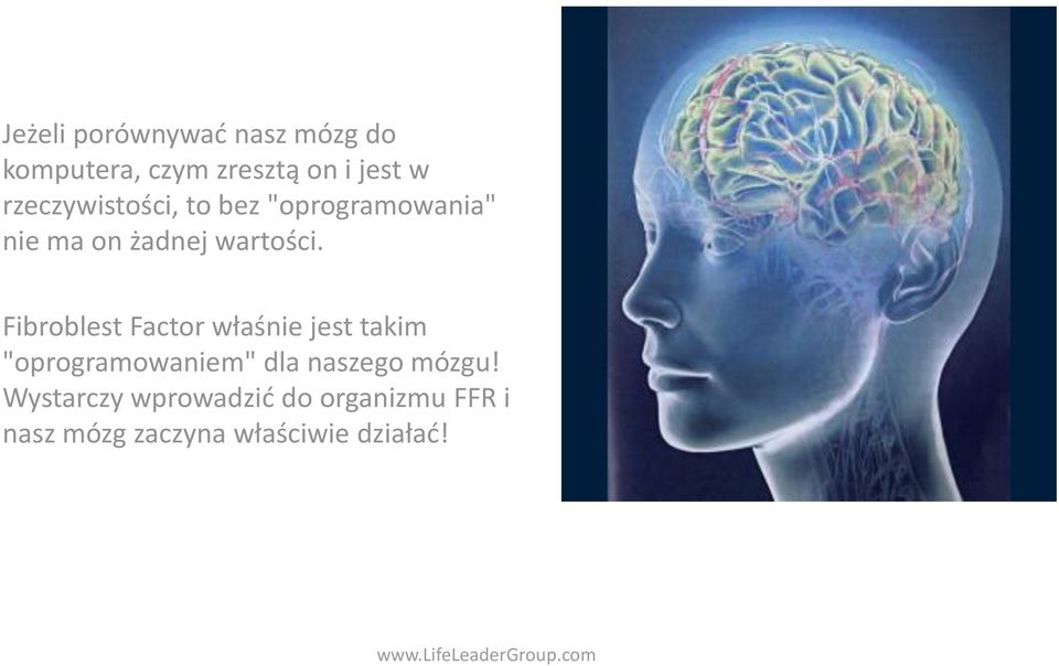 Fibroblest Factor właśnie jest takim "oprogramowaniem" dla naszego