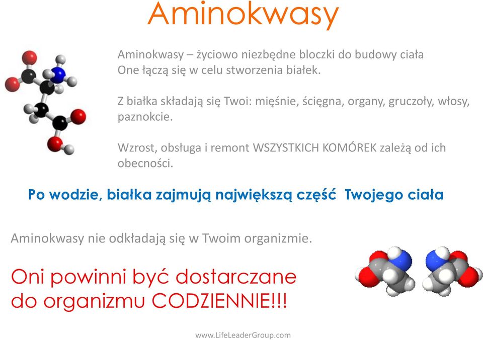 Wzrost, obsługa i remont WSZYSTKICH KOMÓREK zależą od ich obecności.