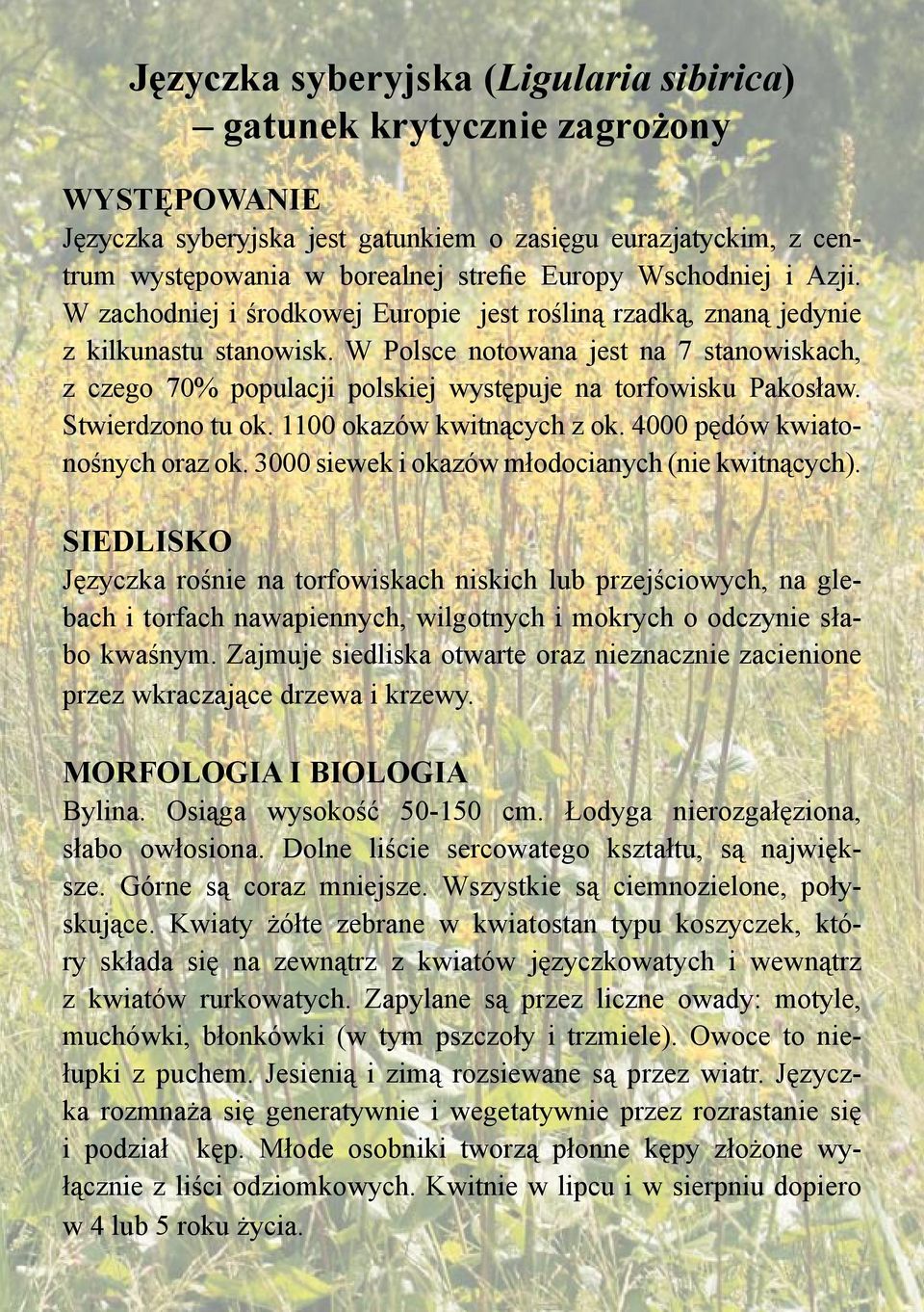W Polsce notowana jest na 7 stanowiskach, z czego 70% populacji polskiej występuje na torfowisku Pakosław. Stwierdzono tu ok. 1100 okazów kwitnących z ok. 4000 pędów kwiatonośnych oraz ok.
