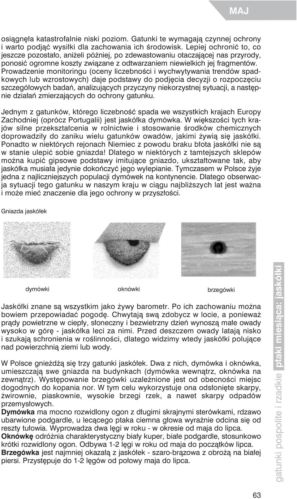 Prowadzenie monitoringu (oceny liczebności i wychwytywania trendów spadkowych lub wzrostowych) daje podstawy do podjęcia decyzji o rozpoczęciu szczegółowych badań, analizujących przyczyny