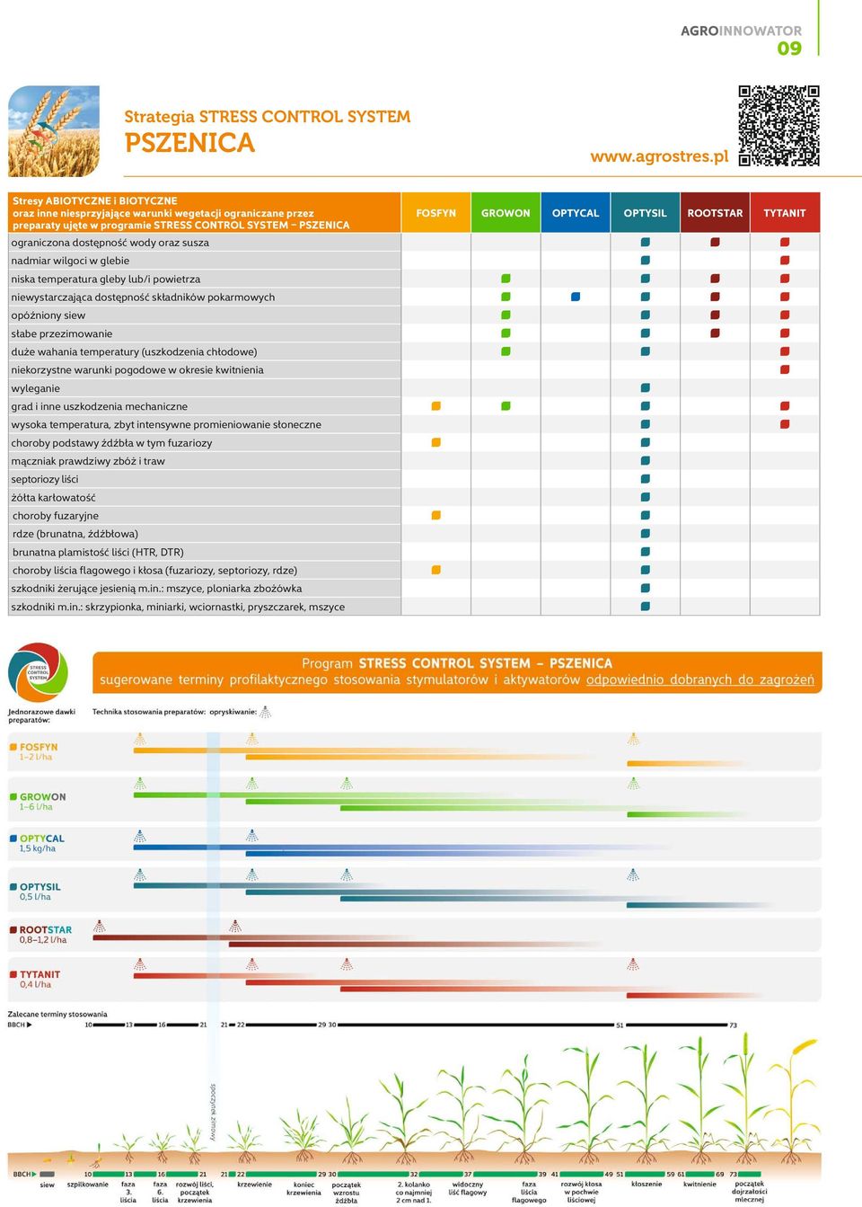 wilgoci w glebie niska temperatura gleby lub/i powietrza niewystarczająca dostępność składników pokarmowych opóźniony siew słabe przezimowanie duże wahania temperatury (uszkodzenia chłodowe)