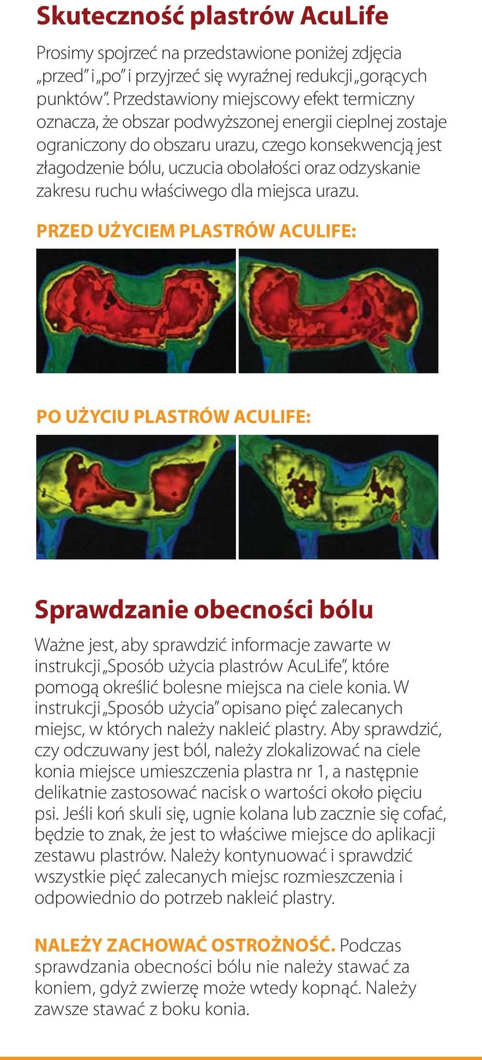 odzyskanie zakresu ruchu właściwego dla miejsca urazu.