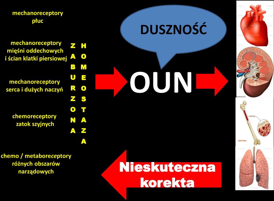 naczyń U R Z E O S OUN chemoreceptory zatok szyjnych O N A T A Z A