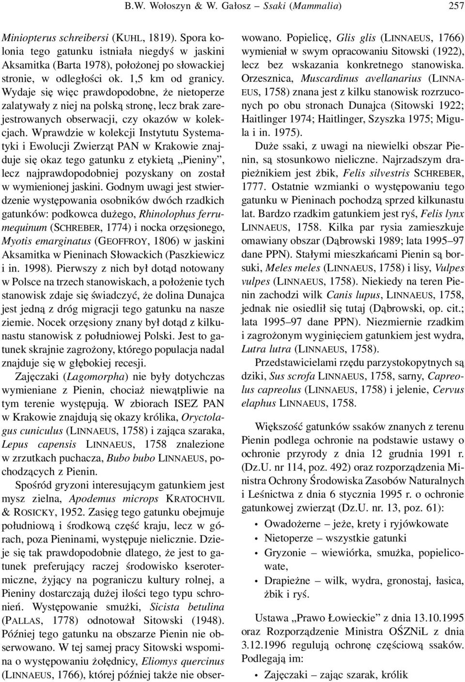 Wydaje się więc prawdopodobne, że nietoperze zalatywały z niej na polską stronę, lecz brak zarejestrowanych obserwacji, czy okazów w kolekcjach.