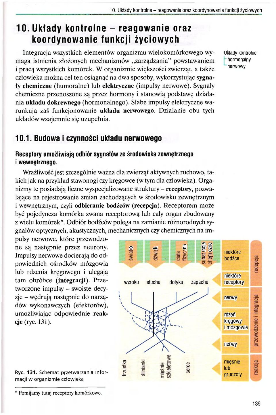 Sygnały chemiczne przenoszone są przez hormony i stanowią podstawę działania układu dokrewnego (hormonalnego). Słabe impulsy elektryczne warunkują zaś funkcjonowanie układu nerwowego.