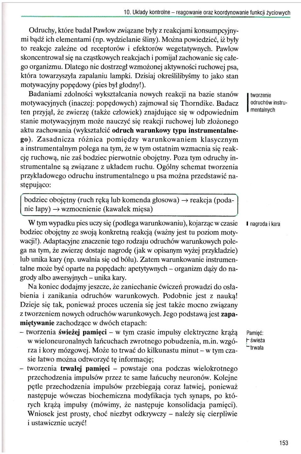 Dzisiaj określilibyśmy to jako stan motywacyjny popędowy (pies był głodny!).