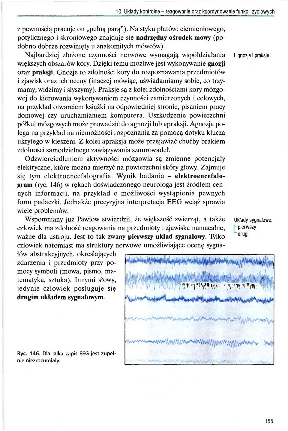 Gnozje to zdolności kory do rozpoznawania przedmiotów i zjawisk oraz ich oceny (inaczej mówiąc, uświadamiamy sobie, co trzymamy, widzimy i słyszymy).