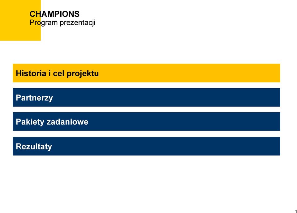 projektu Partnerzy