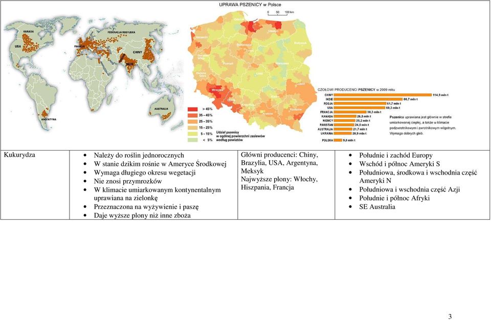 zboża Główni producenci: Chiny, Brazylia, USA, Argentyna, Meksyk Najwyższe plony: Włochy, Hiszpania, Francja Południe i zachód Europy