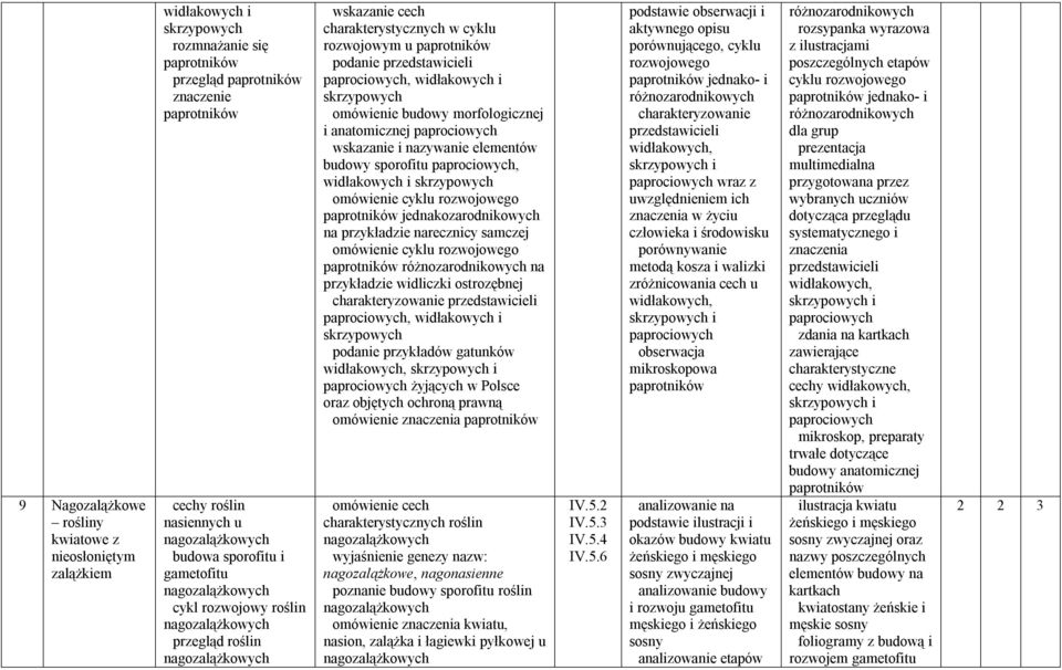 przedstawicieli paprociowych, widłakowych i skrzypowych omówienie budowy morfologicznej i anatomicznej paprociowych wskazanie i nazywanie elementów budowy sporofitu paprociowych, widłakowych i