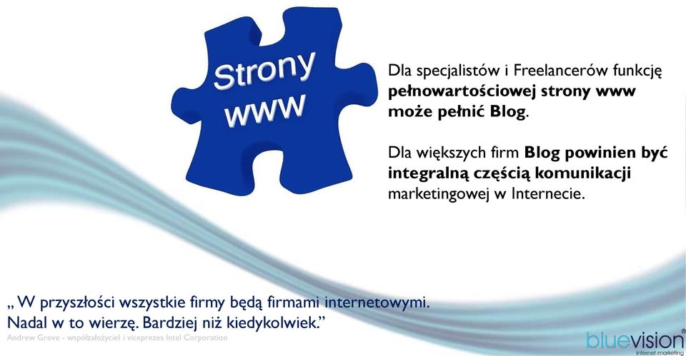 Internecie. W przyszłości wszystkie firmy będą firmami internetowymi.