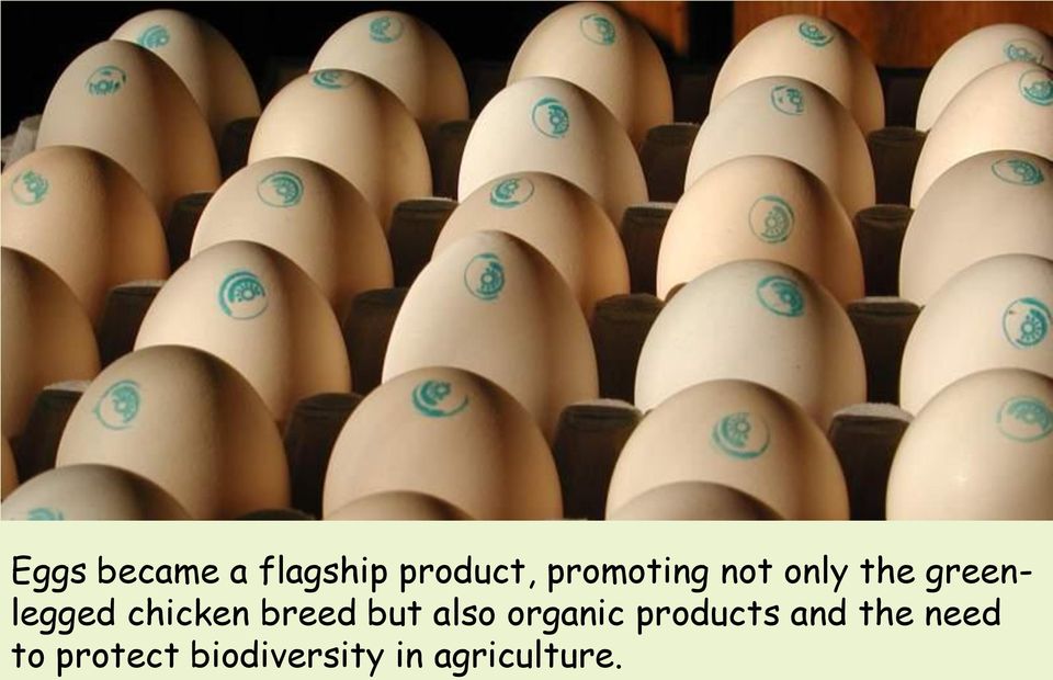 chicken breed but also organic products