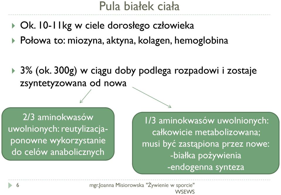 300g) w ciągu doby podlega rozpadowi i zostaje zsyntetyzowana od nowa 2/3 aminokwasów uwolnionych: