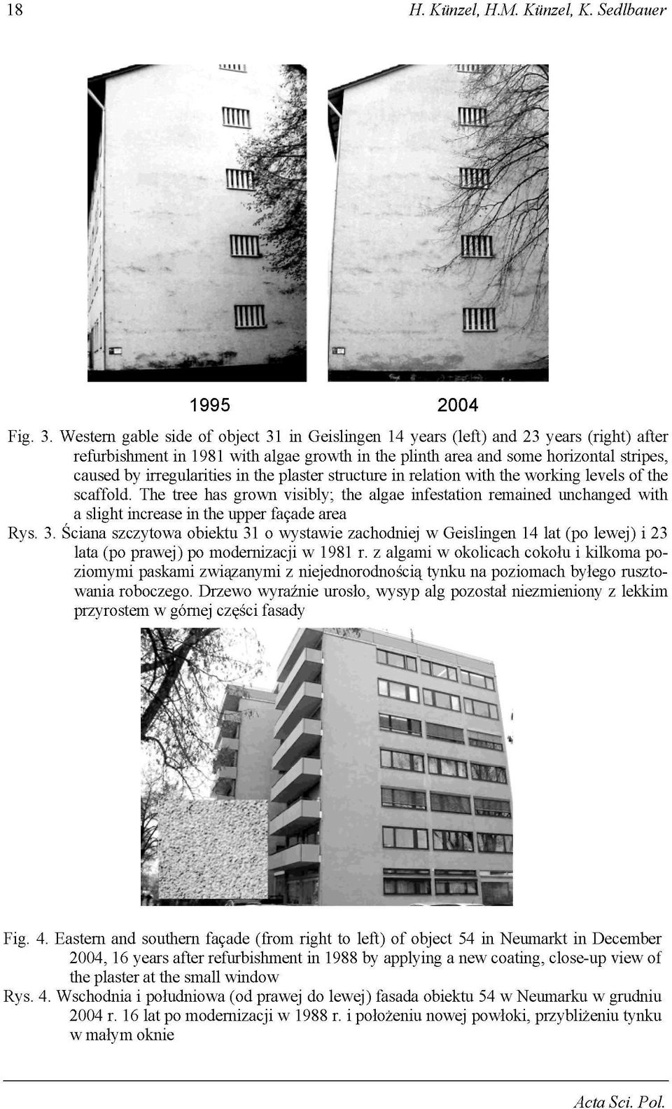 irregularities in the plaster structure in relation with the working levels of the scaffold.