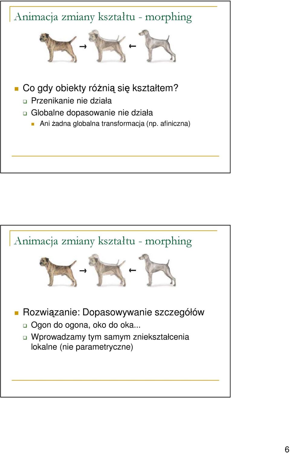 globalna transformacja (np.