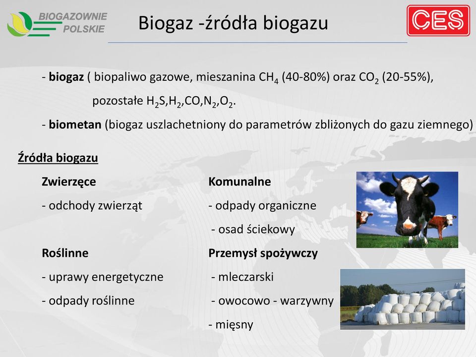 - biometan (biogaz uszlachetniony do parametrów zbliżonych do gazu ziemnego) Źródła biogazu Zwierzęce
