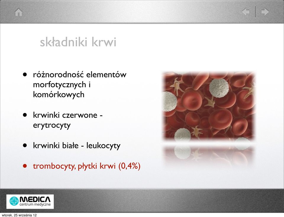 czerwone - erytrocyty krwinki białe -