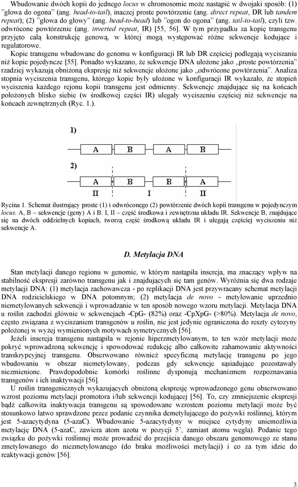 W tym przypadku za kopię transgenu przyjęto całą konstrukcję genową, w której mogą występować różne sekwencje kodujące i regulatorowe.