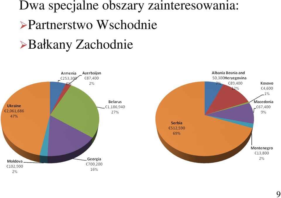 zainteresowania: