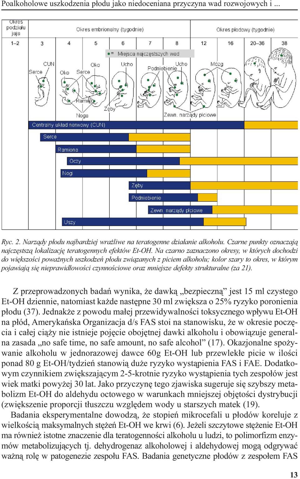 Na czarno zaznaczono okresy, w których dochodzi do wiêkszoœci powa nych uszkodzeñ p³odu zwi¹zanych z piciem alkoholu; kolor szary to okres, w którym pojawiaj¹ siê nieprawid³owoœci czynnoœciowe oraz